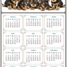 2026 Peel & Stick Calendar - Today is my Lucky Day Removable - Dogs 016 (12"x 8")