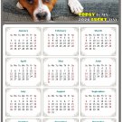 2026 Peel & Stick Calendar - Today is my Lucky Day Removable - Dogs 017 (12"x 8")