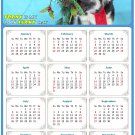 2026 Peel & Stick Calendar - Today is my Lucky Day Removable - Dogs 020 (12"x 8") 2026 Peel & Stick Calendar - Today is my Lucky Day Removable - Dogs 020 (12"x 8")