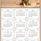 2026 Peel & Stick Calendar - Today is my Lucky Day Removable - Dogs 021 (12"x 8")