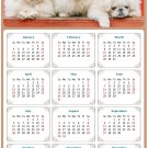 2026 Peel & Stick Calendar - Today is my Lucky Day Removable - Dogs 022 (12"x 8")