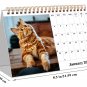 2026-12 Months Desk Calendar Desktop Planner with To-Do List (Cats)