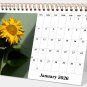 2026-12 Months Desk Calendar Desktop Planner with To-Do List (Sunflowers)