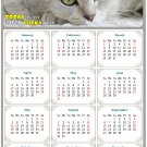 2026 Magnetic Calendar - Calendar Magnets - Today is My Lucky Day - Cat Themed 1 (7 x 10.5) 2026 Magnetic Calendar - Calendar Magnets - Today is My Lucky Day - Cat Themed 1 (7 x 10.5)
