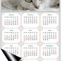 2026 Magnetic Calendar - Calendar Magnets - Today is My Lucky Day - Cat Themed 1 (7 x 10.5)