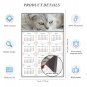2026 Magnetic Calendar - Calendar Magnets - Today is My Lucky Day - Cat Themed 1 (7 x 10.5)