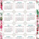 2026 Peel & Stick Calendar - Today is my Lucky Day Removable - 018 (9"x 6")