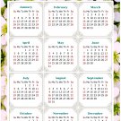 2026 Peel & Stick Calendar - Today is my Lucky Day Removable - 029 (9"x 6")
