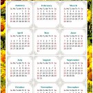 2026 Peel & Stick Calendar - Today is my Lucky Day Removable - 030 (9"x 6") 2026 Peel & Stick Calendar - Today is my Lucky Day Removable - 030 (9"x 6")