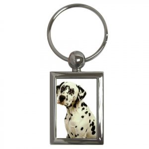 Dalmatian Key Chain Rectangle 12100114