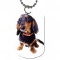 Dachshund  Dog Tag Necklace Chain - 12099481