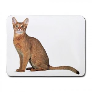 Abyssinian Cat Pet Lover Small Mousepad 12168362