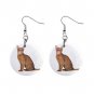 Abyssinian Cat Pet Lover  1" Button Earrings 12168389
