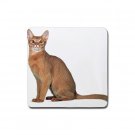 Abyssinian Cat Pet Lover  Rubber Square Coaster 4 pack 12168391
