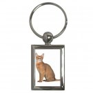 Abyssinian Cat Pet Lover Key Chain Rectangle 12168400