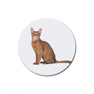 Abyssinian Cat Pet Lover  Rubber Round Coaster 4 pack 12168402