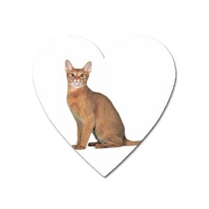 Abyssinian Cat Pet Lover  Magnet ( Heart ) 12168404