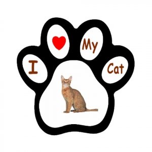 Abyssinian Cat Pet Lover Paw Print Magnet 12168406