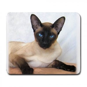 Siamese Cat Pet Lover  Large Mousepad 12203177