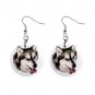Alaskan Malamute Dog pet lover Jewelry Button Earrings 12131201
