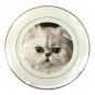 White Persian Cat Pet Lover Porcelain Plate 12201268