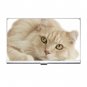 Maine Coon Cat Pet Lover Business Card Holder Case 12203252