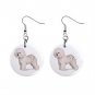 Dog Bichon Frisé Pet Lover Jewelry Button Earrings 13018516