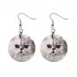 White Persian Cat Pet Lover Jewelry Button Earrings 12201236