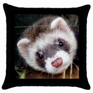 Ferret Pillow Case Pillowcase 18" Toss or Throw 17473603