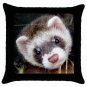 Ferret Pillow Case Pillowcase 18" Toss or Throw 17473603