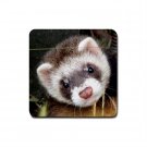 Ferret Lover Rubber Square Coaster 4 pack 17473602