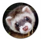Ferret Pet Lover  Round Mousepad 17473593