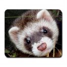 Ferret Pet Lover  Large Mousepad 17473601
