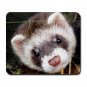 Ferret Pet Lover  Large Mousepad 17473601