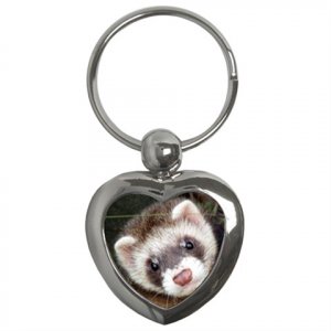 Ferret Pet Lover  Key Chain Heart 17473615