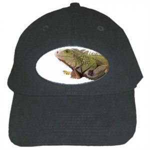 Iguana Lizard Reptile Pet Lover Black Cap Baseball Hat 12239831