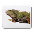 Iguana Lizard Reptile Pet Lover Small Mousepad 12239834