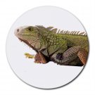 Iguana Lizard Reptile Pet Lover  Round Mousepad 12239835