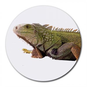 Iguana Lizard Reptile Pet Lover  Round Mousepad 12239835