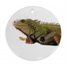 Iguana Lizard Reptile Pet Lover Ornament Round 12239836