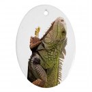 Iguana Lizard Reptile Pet Lover Ornament Oval 12239837