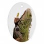 Iguana Lizard Reptile Pet Lover Ornament Oval 12239837