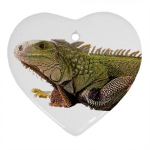 Iguana Lizard Reptile Pet Lover Ornament Heart  12239838
