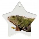Iguana Lizard Reptile Pet Lover Ornament Star  12239839