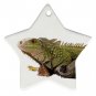 Iguana Lizard Reptile Pet Lover Ornament Star  12239839