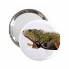 Iguana Lizard Reptile Pet Lover  Handbag Mirror 12239844