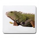 Iguana Lizard Reptile Pet Lover  Large Mousepad 12239846