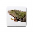 Iguana Lizard Reptile Lover Rubber Square Coaster 4 pack 12239847