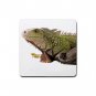 Iguana Lizard Reptile Lover Rubber Square Coaster 4 pack 12239847