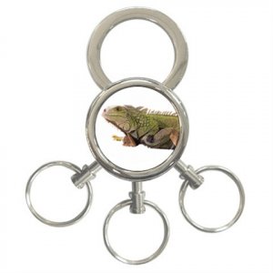 Iguana Lizard Reptile Pet Lover 3 Ring Key Chain 12239854